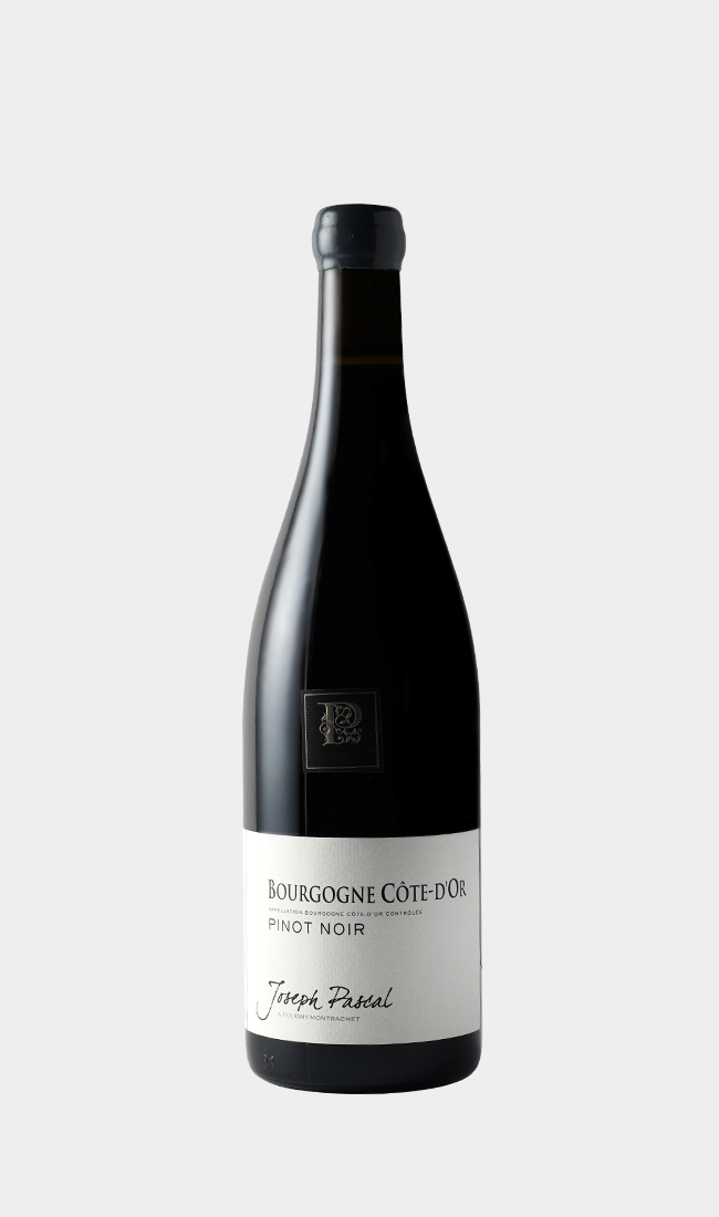 Joseph Pascal, Bourgogne Cote d'Or Pinot Noir 2023 750ML
