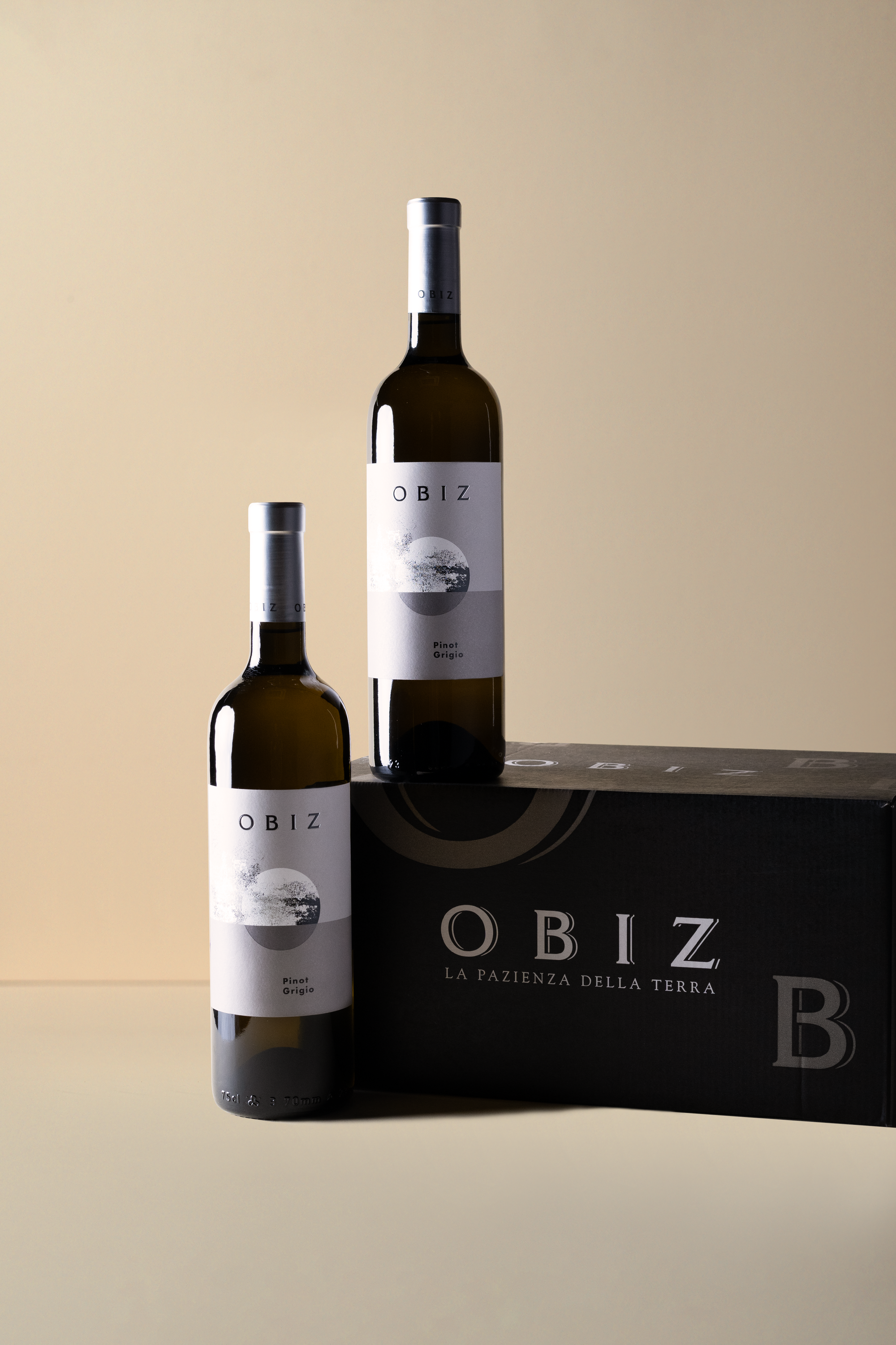 Obiz, Pinot Grigio 2023 750ML (OCC of 6 bottles)