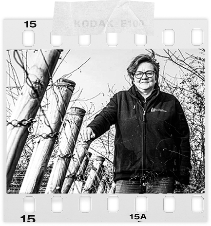 DOMAINE JOSEPH PASCAL