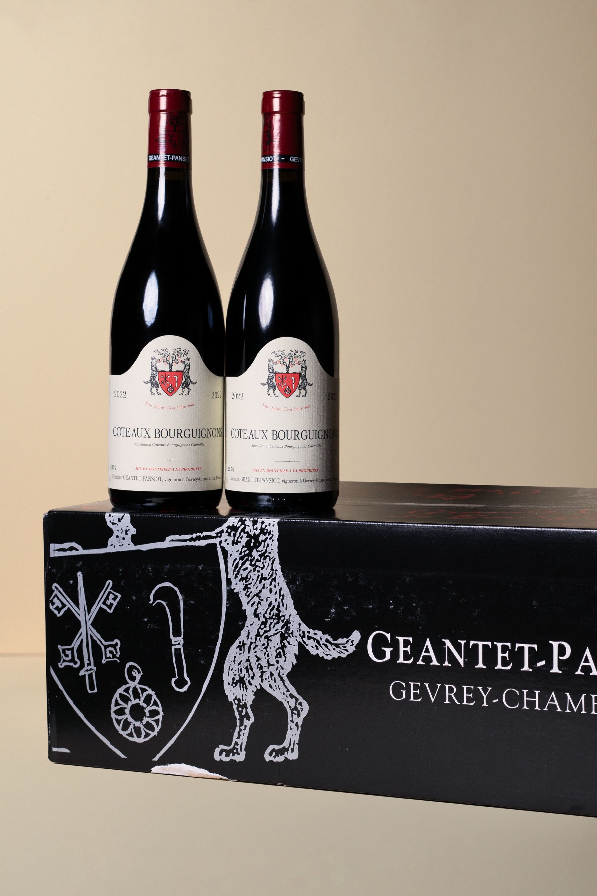 Geantet Pansiot, Coteaux Bourguignons Gamay 2022 750ML (OCC of 12 bottles)