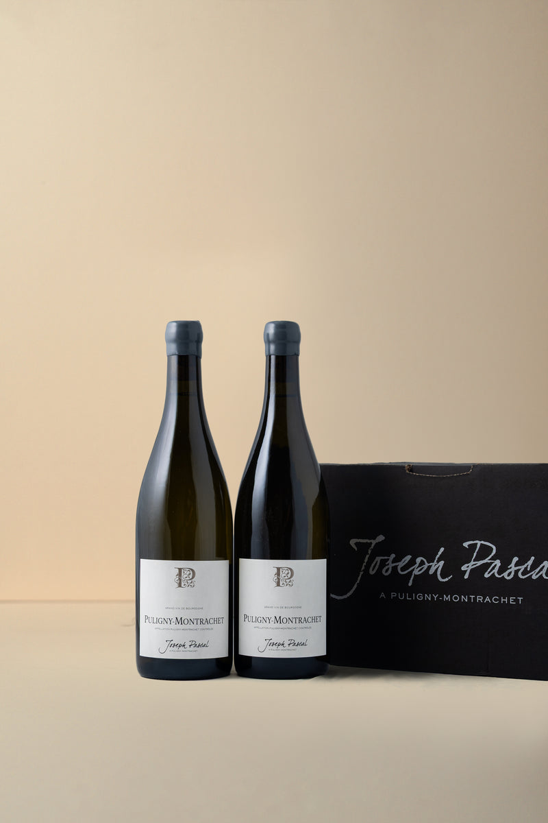 Joseph Pascal, Puligny Montrachet 2023 750ML (OCC of 6 bottles)